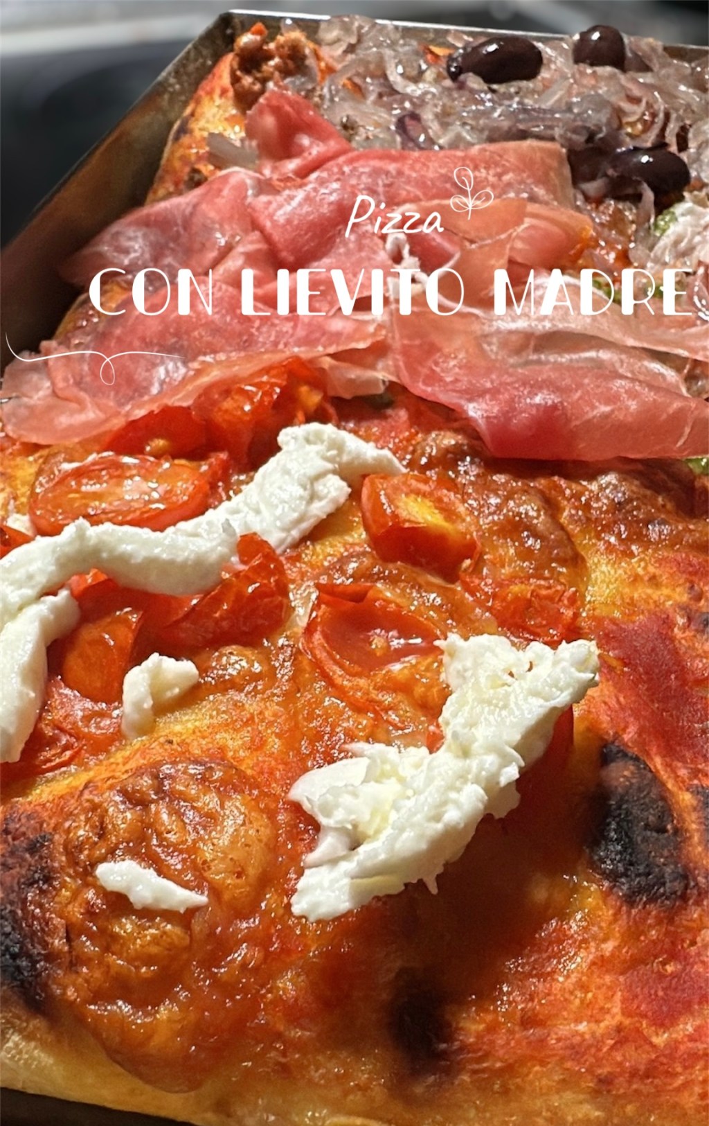 PIZZA CON LIEVITO&nbsp;MADRE