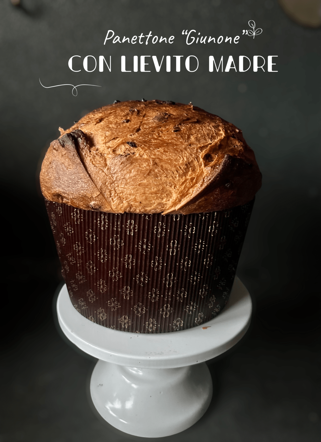 PANETTONE “GIUNONE” CON LIEVITO MADRE Ricetta di Antonella&nbsp;Simoniello
