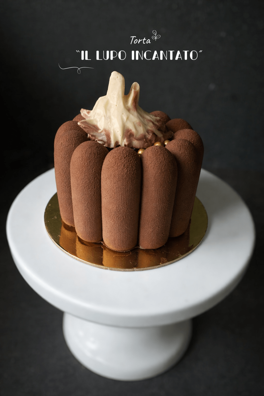 TORTA “IL LUPO&nbsp;INCANTATO”